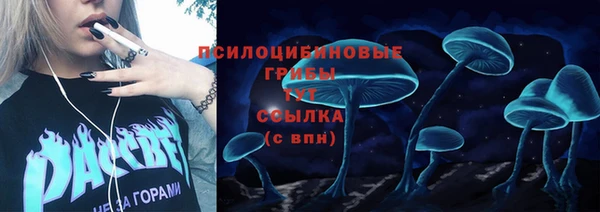 эйфоретик Костерёво