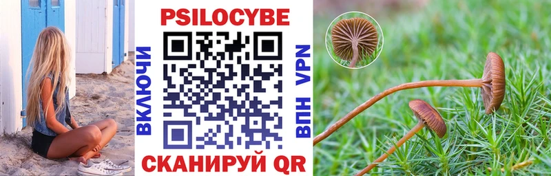 Галлюциногенные грибы мухоморы  где купить   Реутов 