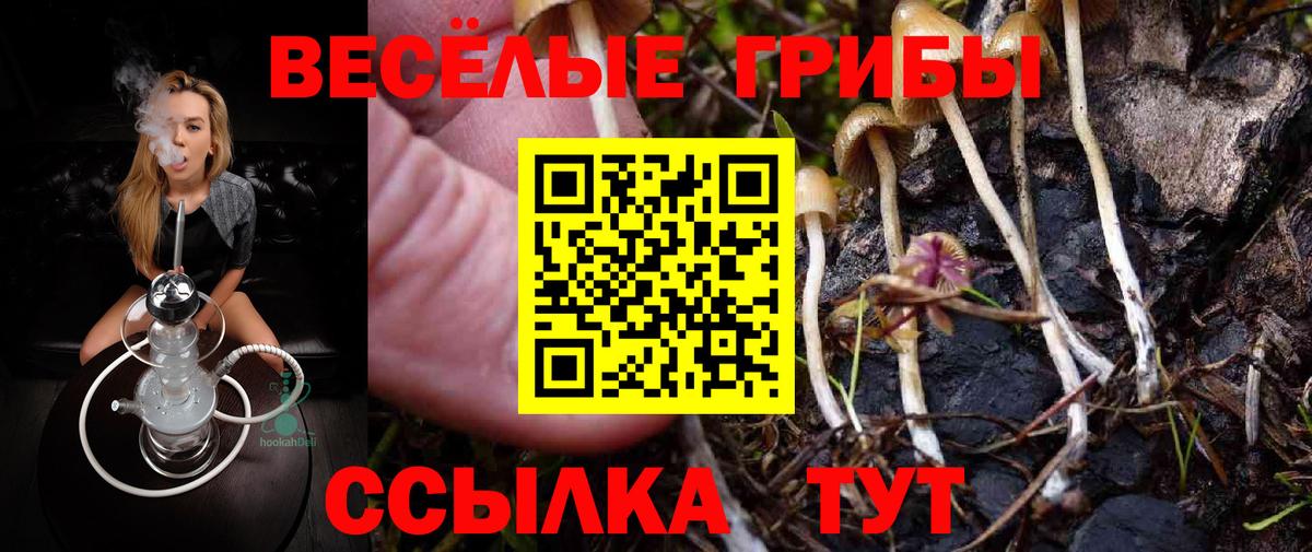 Галлюциногенные грибы GOLDEN TEACHER Реутов