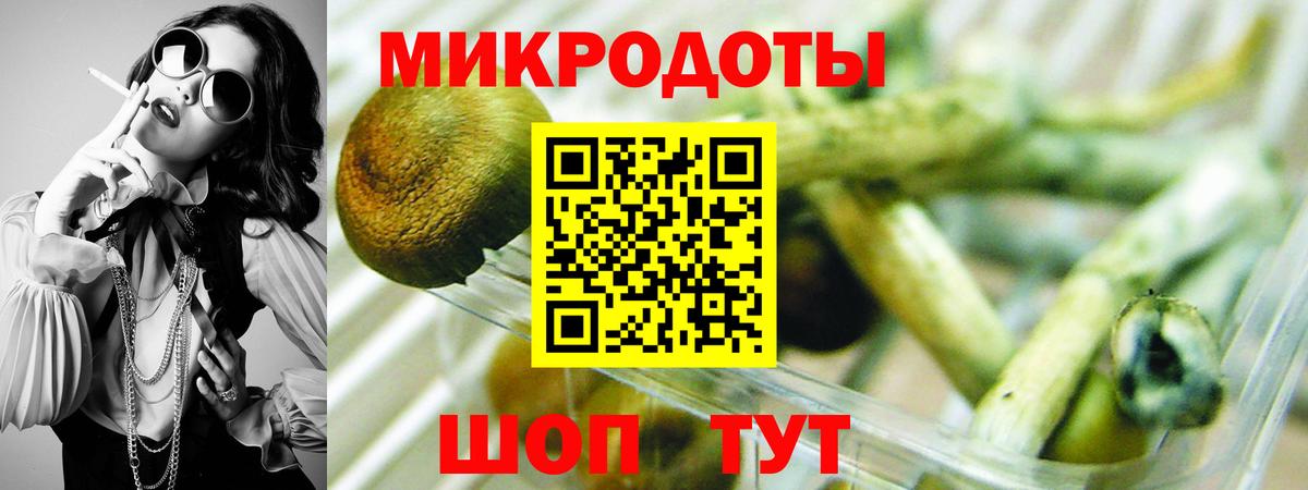 Реутов  Псилоцибиновые грибы прущие грибы  Вход с VPN  Псилоцибиновые грибы Cubensis 